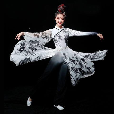 Chinese Folk Dance Costume Classical Dance Costume Female Chinese Style Sun Ke Ice Chrysanthemum Material Ancient Style, Water and Ink Fan Dance Costume Adult