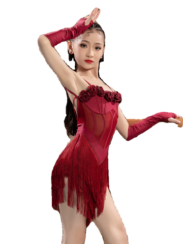 Navy Wine Fringe Latin Dance Dresses for Kids Girls Salsa Rumba Cha Cha Samba Performance Costumes Stage Performance Wear