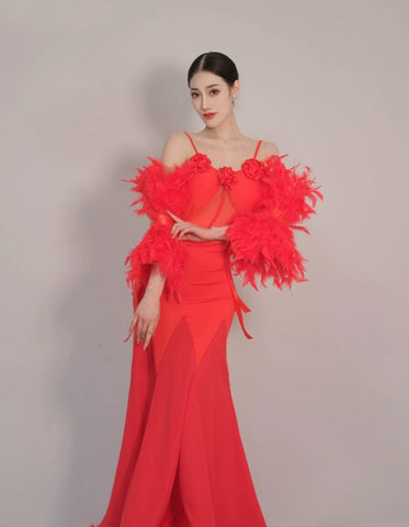 Red Feather Ballroom Dance Dresses for Women Girls Waltz Tango Foxtrot Smooth Dance Skirt National Rhythm Standard Dance Long Gown - Moderndancedress.com