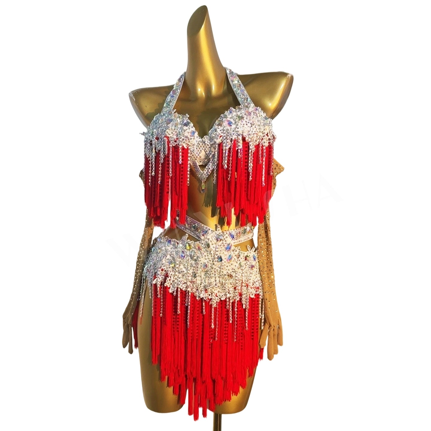 Custom Size Red Latin Dance Dresses for Women Girls Sasla Rumba Chacha blackpool Fringed Costumes - Moderndancedress.com