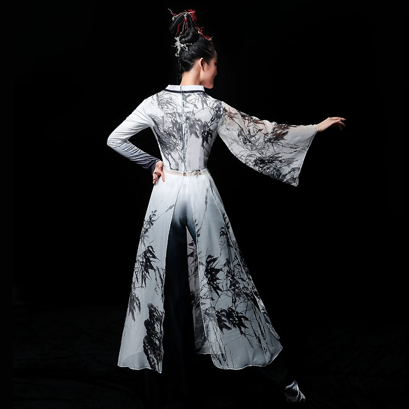 Chinese Folk Dance Costume Classical Dance Costume Female Chinese Style Sun Ke Ice Chrysanthemum Material Ancient Style, Water and Ink Fan Dance Costume Adult