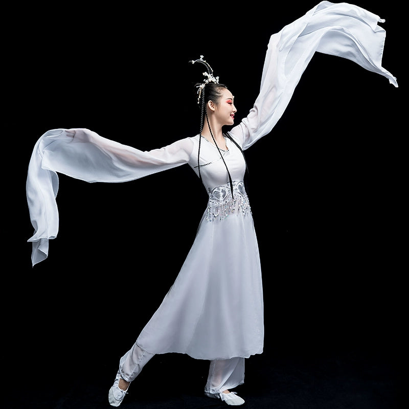 Chinese Folk Dance Costume Classical Dance Costume Chinese Wind Long Sleeve Dance Sleeve Dance Adult Watersleeve Dance Costume