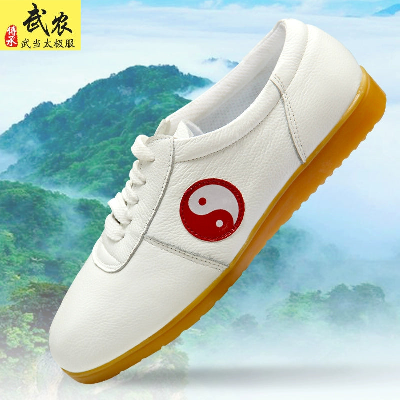 Tai Chi shoes, soft cowhide, beef tendon bottom, breathable soft bottom Taijiquan shoes, training shoes, men's and women's martial arts shoes. - Moderndancedress.com