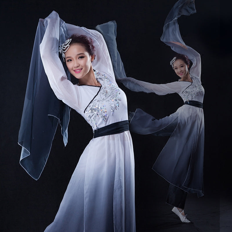 Chinese Folk Dance Costumes Watersleeve Dance Dress Ink Classical Dance Performance Dress Female Dance Practice Dress Adult Zaiwei Dance Modern Dance - Moderndancedress.com