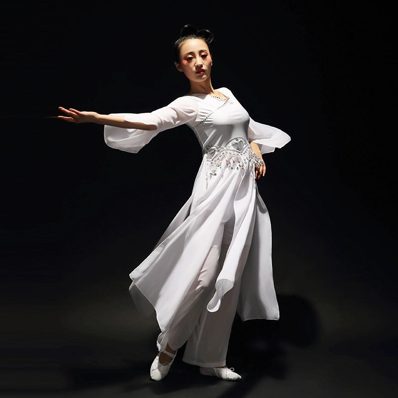 Chinese Folk Dance Costumes Classical Dance Costume, Female Practitioner Gongfu, Fairy Adult Modern Dance Costume Fan Dance - Moderndancedress.com
