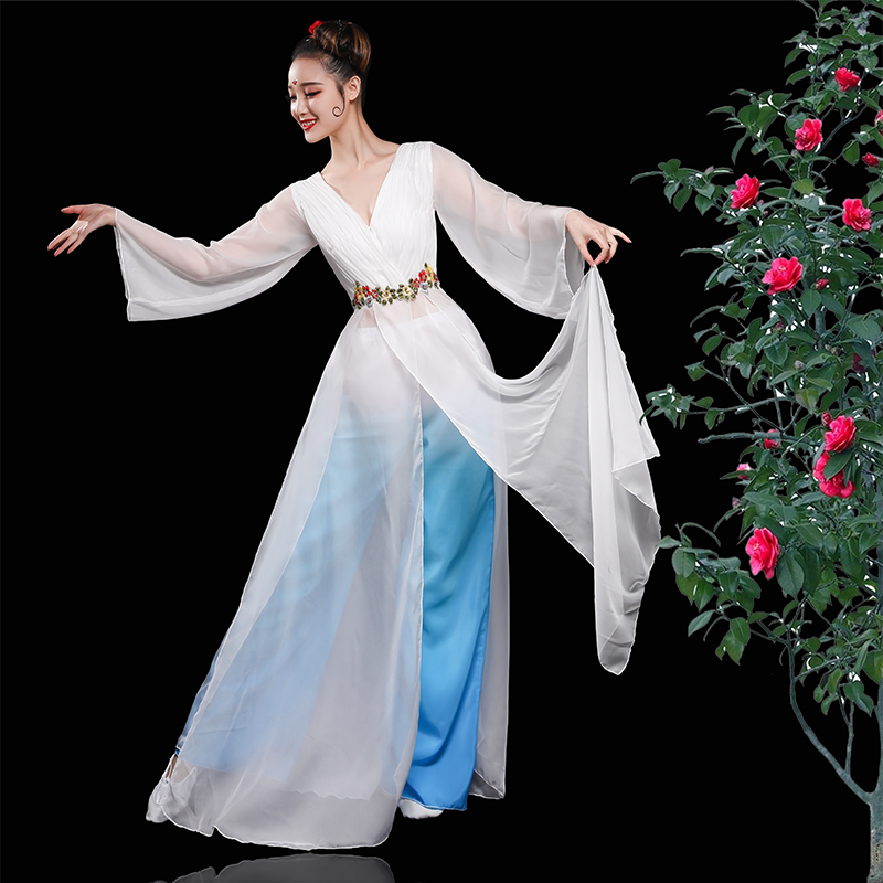 Chinese Folk Dance Costume Modern Dance Costume Female Adult Chorus Costume Chinese Wind Dance Skirt Classical Dance