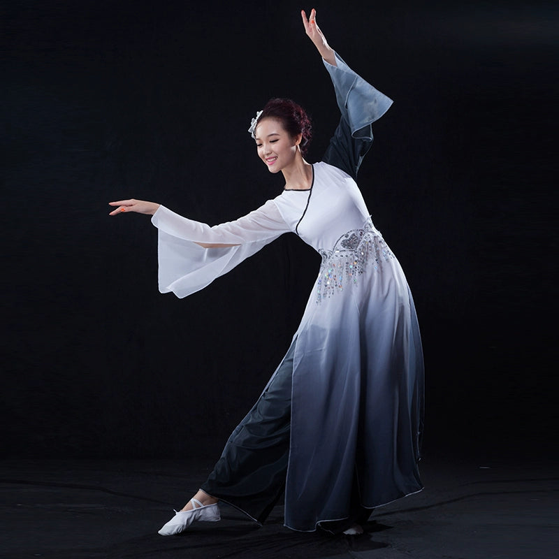 Chinese Folk Dance Costumes Classical Dance Costume, Female Practitioner Gongfu, Fairy Adult Modern Dance Costume Fan Dance - Moderndancedress.com