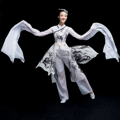 Chinese Folk Dance Costume Watersleeve Dance Costume Classical Dance Performance Costume Female Caiwei Ink and Water Modern Dance Chinese Style Adult Dance