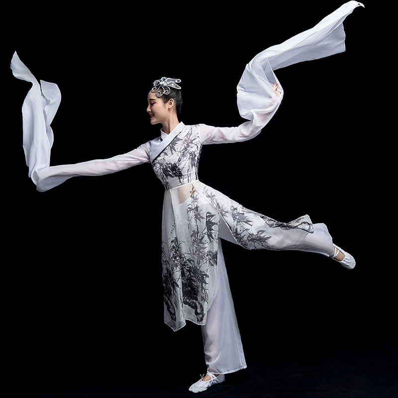 Chinese Folk Dance Costume Watersleeve Dance Costume Classical Dance Performance Costume Female Caiwei Ink and Water Modern Dance Chinese Style Adult Dance - Moderndancedress.com