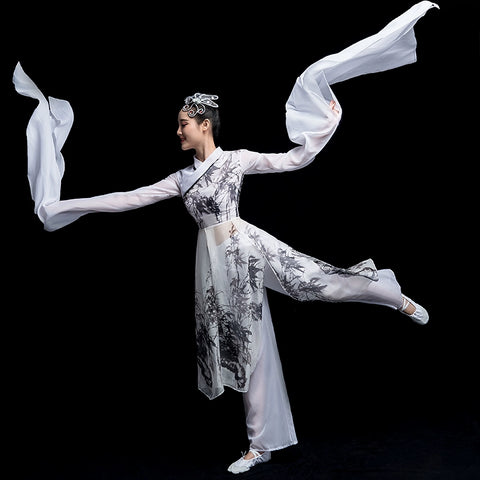 Chinese Folk Dance Costume Watersleeve Dance Costume Classical Dance Performance Costume Female Caiwei Ink and Water Modern Dance Chinese Style Adult Dance - 