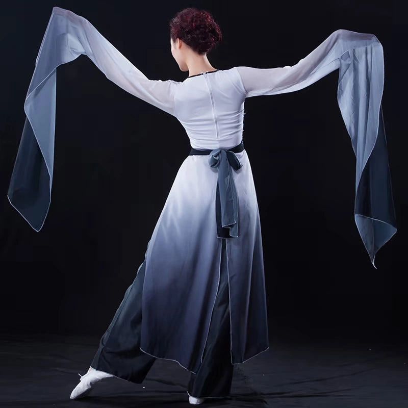 Chinese Folk Dance Costumes Watersleeve Dance Dress Ink Classical Dance Performance Dress Female Dance Practice Dress Adult Zaiwei Dance Modern Dance - Moderndancedress.com