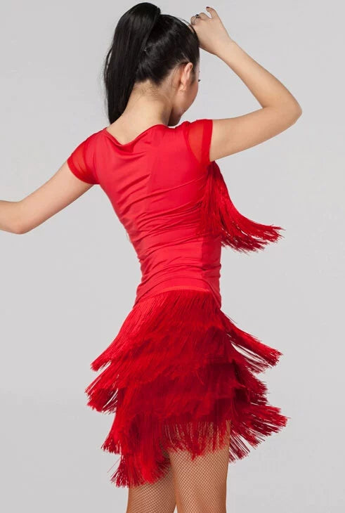 Professional Latin dance skirt, women's adult sexy dress, half dress, tassel clothing - 
