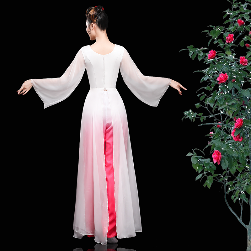 Chinese Folk Dance Costume Classical Dance Costume Female Chinese Fresh and Elegant Modern Dance Costume Water Sleeve Fan Dance - Moderndancedress.com