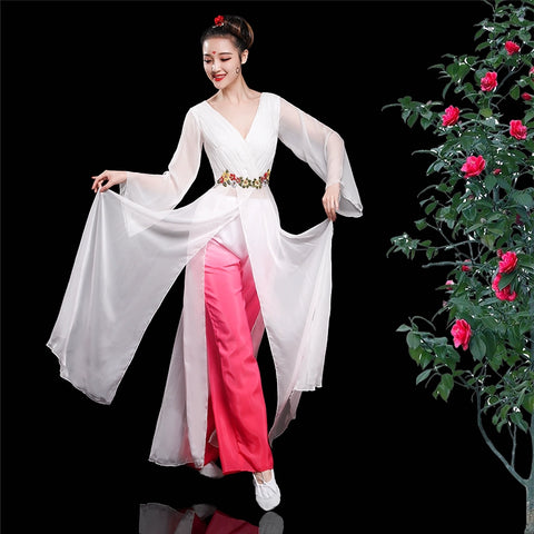 Chinese Folk Dance Costume Classical Dance Costume Female Chinese Fresh and Elegant Modern Dance Costume Water Sleeve Fan Dance - Moderndancedress.com