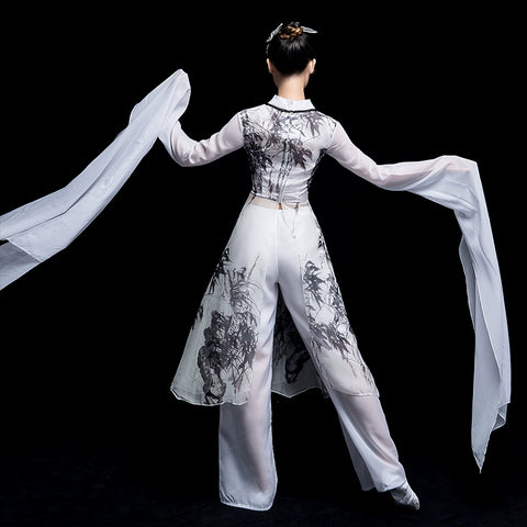 Chinese Folk Dance Costume Watersleeve Dance Costume Classical Dance Performance Costume Female Caiwei Ink and Water Modern Dance Chinese Style Adult Dance - Moderndancedress.com