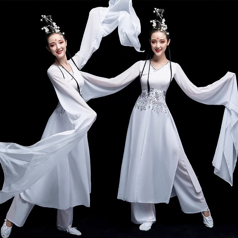 Chinese Folk Dance Costume Classical Dance Costume Chinese Wind Long Sleeve Dance Sleeve Dance Adult Watersleeve Dance Costume