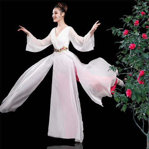 Chinese Folk Dance Costume Classical Dance Costume Female Chinese Fresh and Elegant Modern Dance Costume Water Sleeve Fan Dance - 