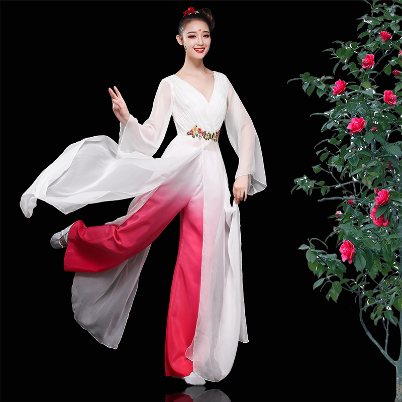 Chinese Folk Dance Costume Classical Dance Costume Female Chinese Fresh and Elegant Modern Dance Costume Water Sleeve Fan Dance - 