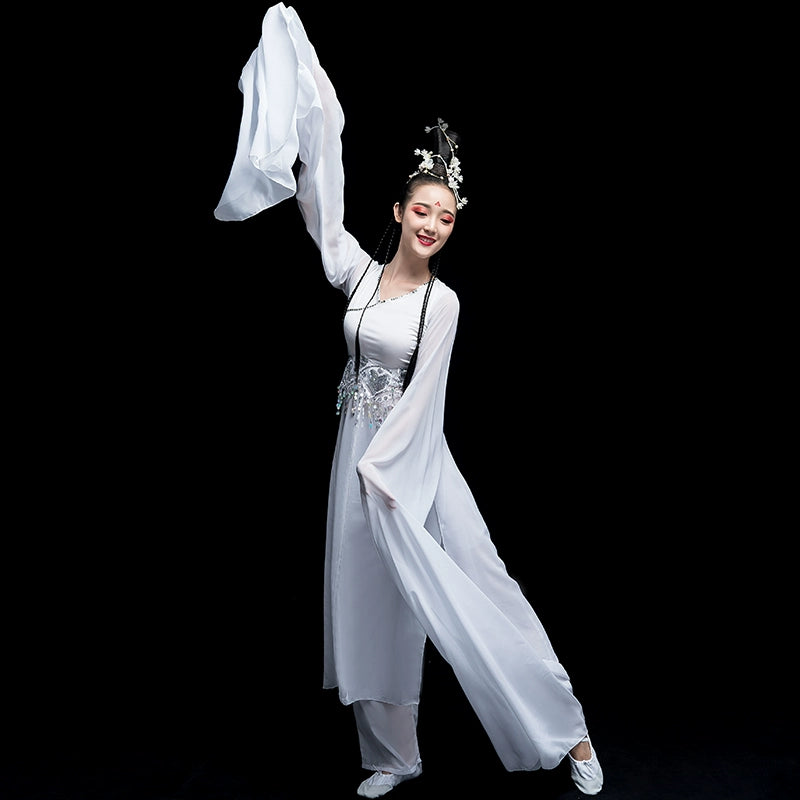 Chinese Folk Dance Costume Classical Dance Costume Chinese Wind Long Sleeve Dance Sleeve Dance Adult Watersleeve Dance Costume