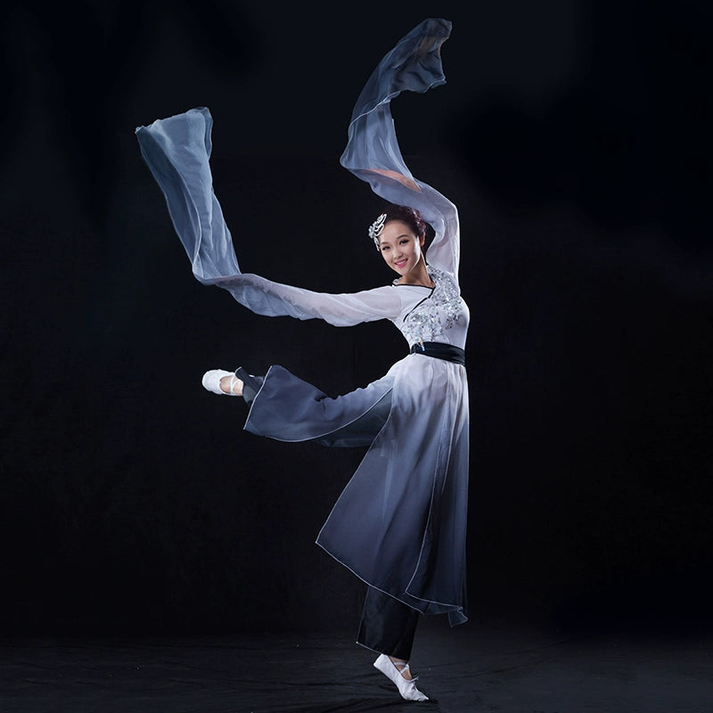 Chinese Folk Dance Costumes Watersleeve Dance Dress Ink Classical Dance Performance Dress Female Dance Practice Dress Adult Zaiwei Dance Modern Dance - Moderndancedress.com