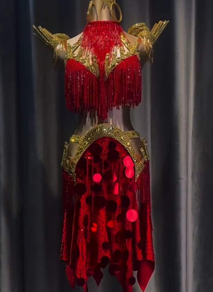 Custom Red and Gold Latin Dance Dress  Fringe Salsa Competition Gown