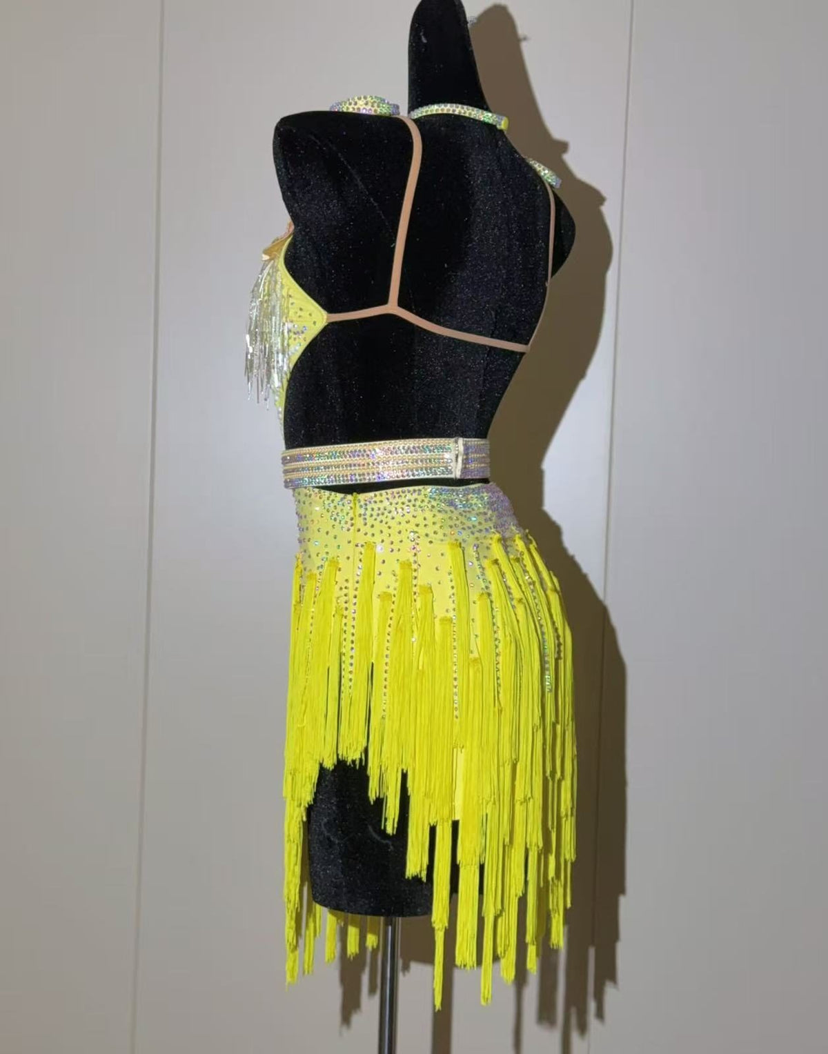 Custom Crystal Fringe Competition Latin Dance Dress