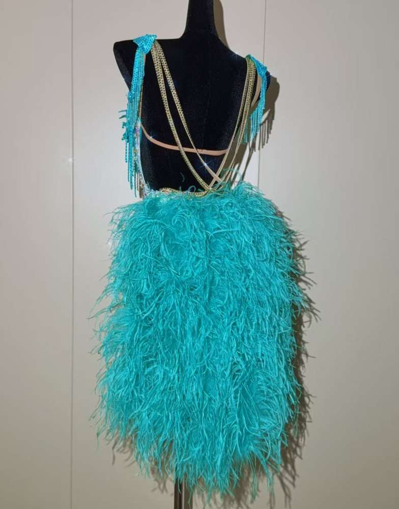 Custom Turquoise Competition Latin Dance Dress with Crystals & Feathers Samba Salsa Costume