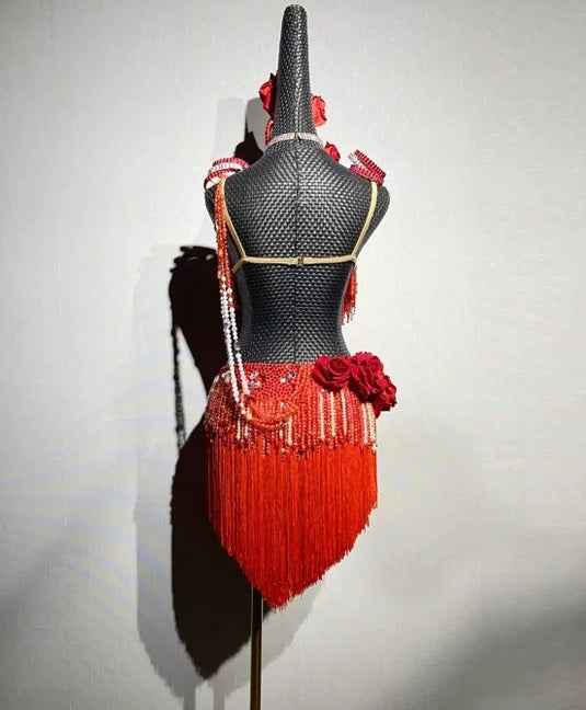 Custom Size Red Rose Flower Bling Fringe Latin Dance Dress Blackpool Competition Dance Gown for Women