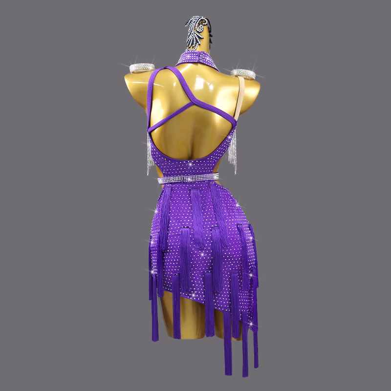 Violet with Silver Fringe Latin Dance Dresses for Girls Women Rhinestones Salsa Rumba Chacha Professional Dance Stage Performance Costume