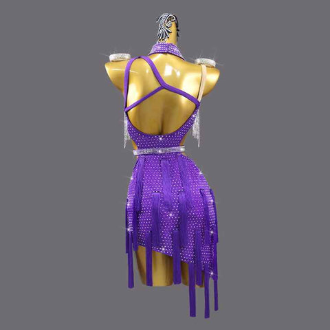 Violet with Silver Fringe Latin Dance Dresses for Girls Women Rhinestones Salsa Rumba Chacha Professional Dance Stage Performance Costume