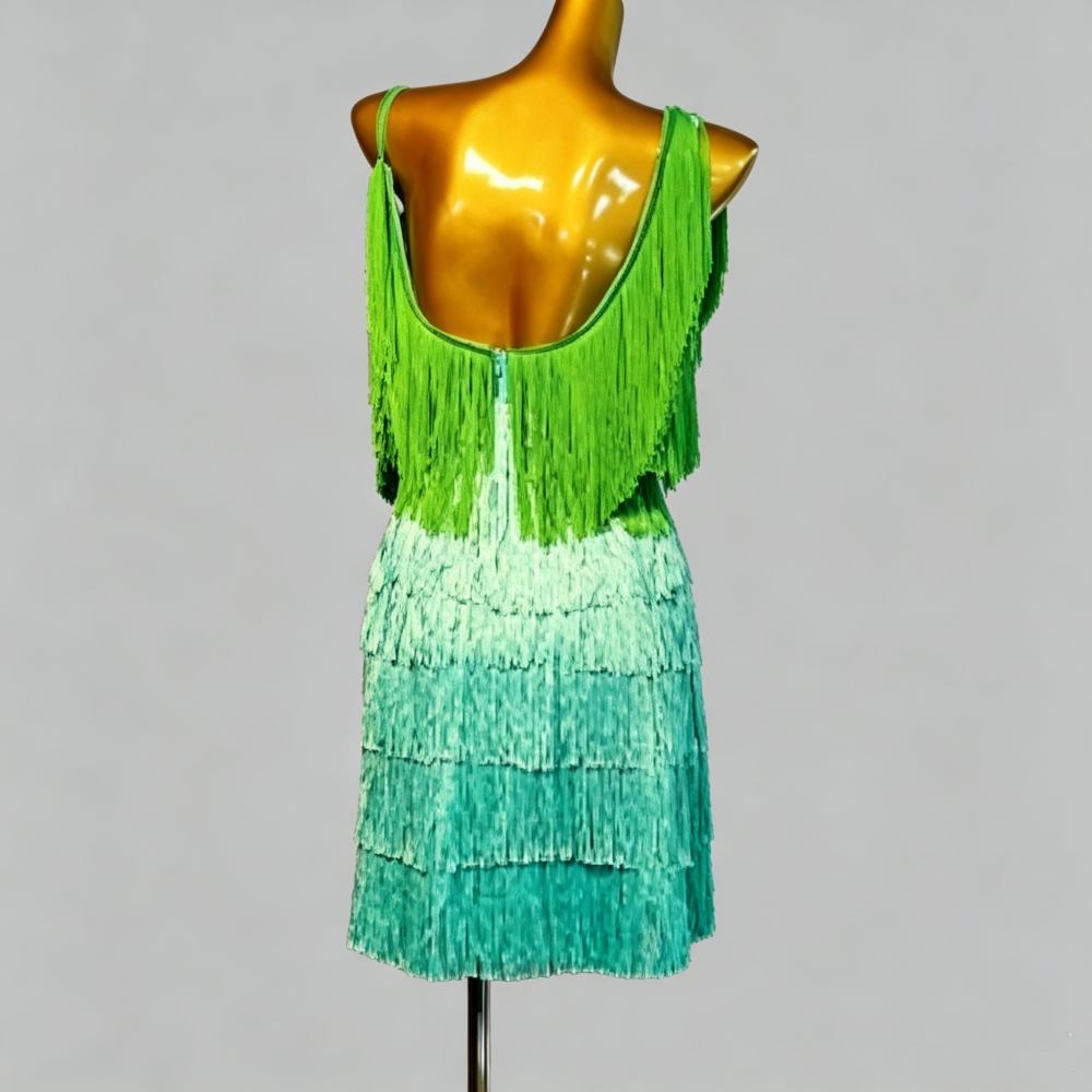 Custom Size Gradient Green Latin Dance Dress Tiered Fringe Spaghetti Strap Professional Ballroom Dance Costume