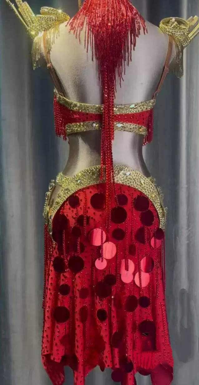 Custom Red and Gold Latin Dance Dress  Fringe Salsa Competition Gown