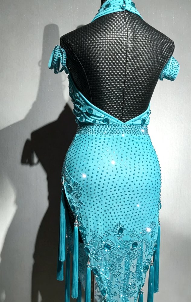 Custom Hot Pink Latin Dance Dress with Rhinestones & Fringe Blue Ballroom Competition Outfit