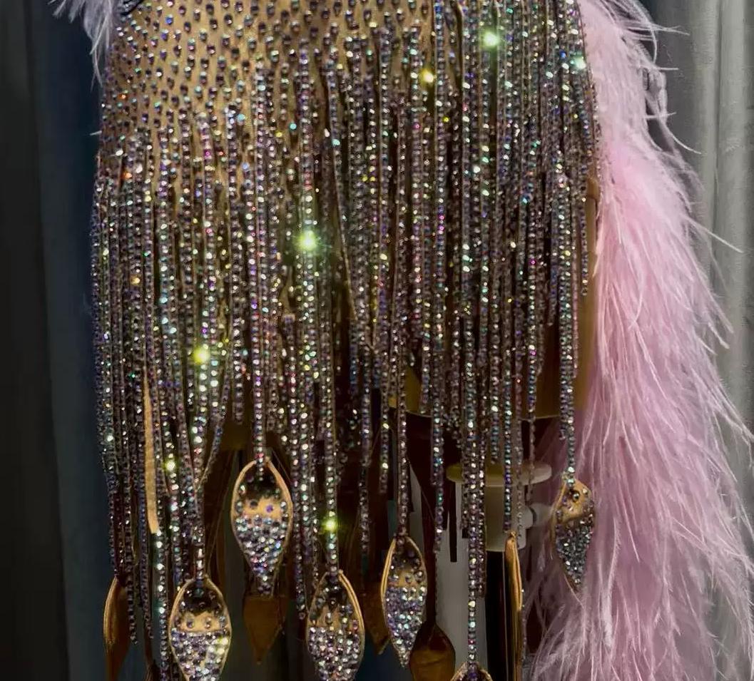 Custom Pink Feather Latin Dance Dress | Sparkly Crystal Fringe Rhythm Costume