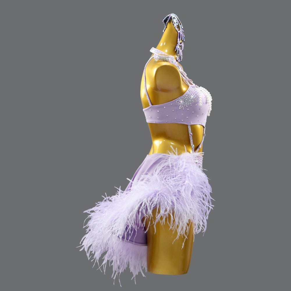 Custom Size Lavender Purple Latin Dance Competition Dress with Ostrich Feathers  Rhinestone Fringe for Women