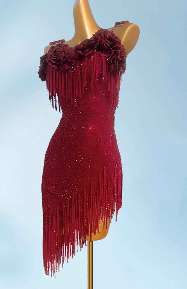 Custom Size Wine Rose Latin Dance Dresses for Women Girls Salsa Rumba Blackpool Competition Fringed Skirts