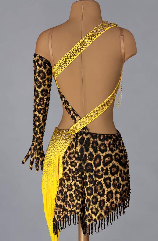 Custom Leopard Competition Latin Dance Dress Salsa Rhythm Gown with Crystal Fringe