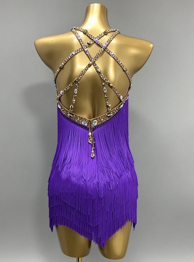 Custom Purple Rhinestone Competition Latin Dance Dress Fringe Salsa Rhythm Costume
