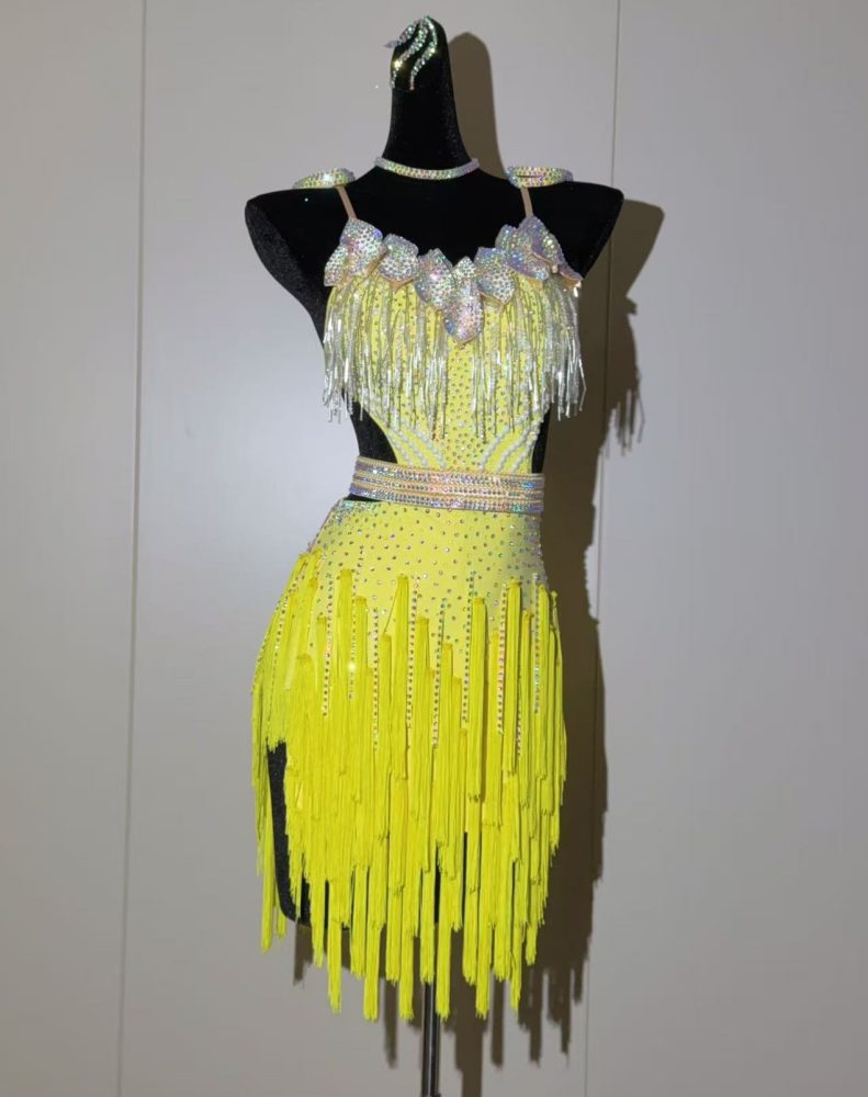 Custom Crystal Fringe Competition Latin Dance Dress