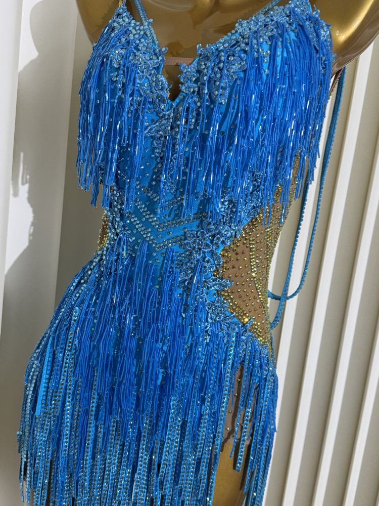 Custom Size Blue Fringe Competition Latin Dance Dress Salsa Chacha Bling Dance Costumes