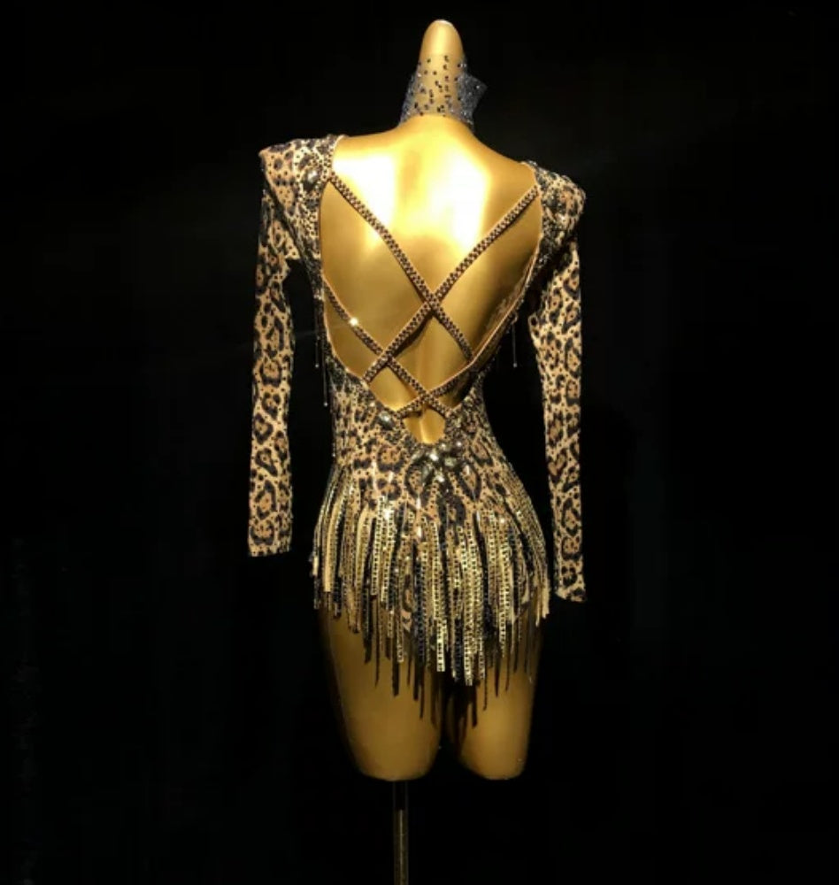 Custom Leopard Competition Latin Dance Dress Bling Rhinestones Blackpool Ball Dance Gown