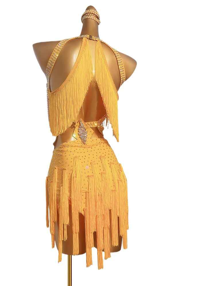 Custom Size Orange Red Fringe Latin Dance Dresses for Women Girls Salsa Rumba Chacha Performance Costumes